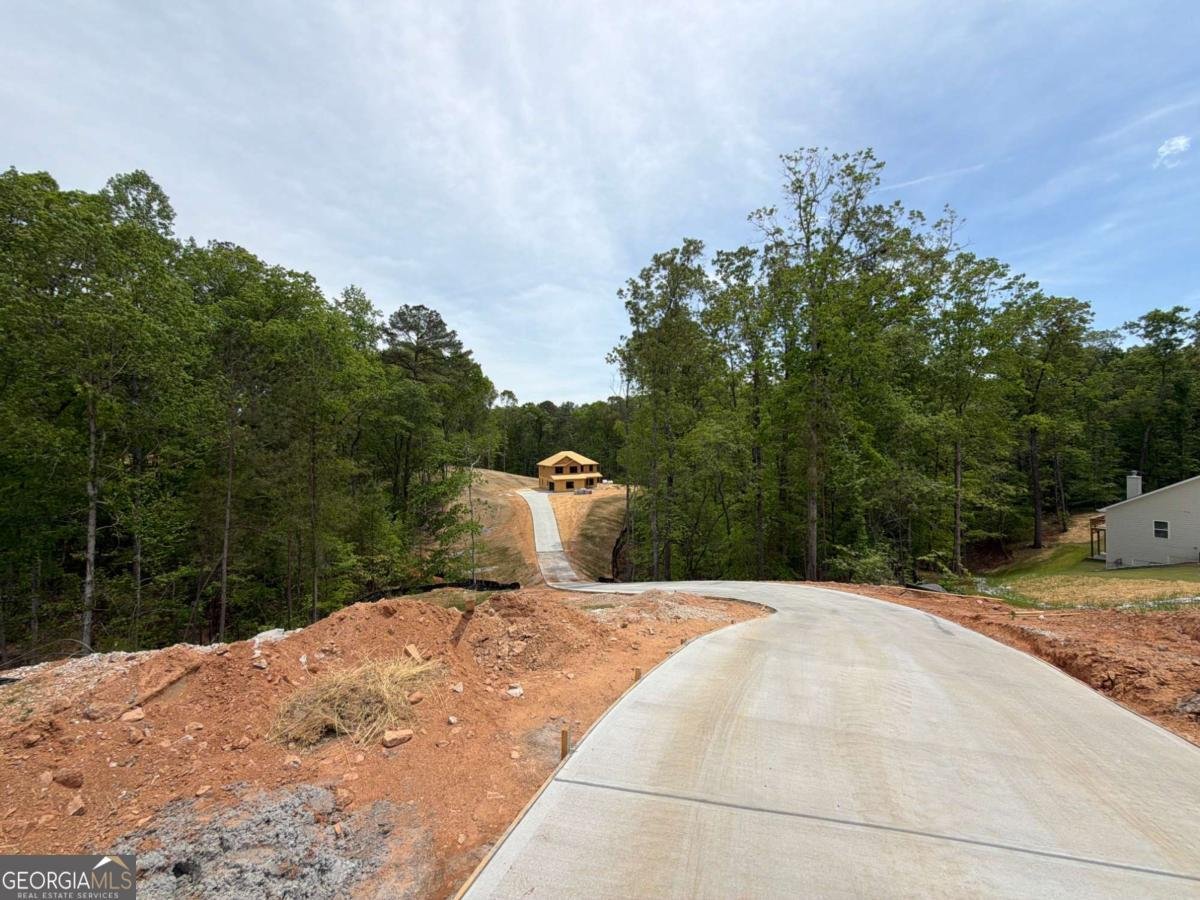 5382 Tuscany Drive Douglasville - Photo 1