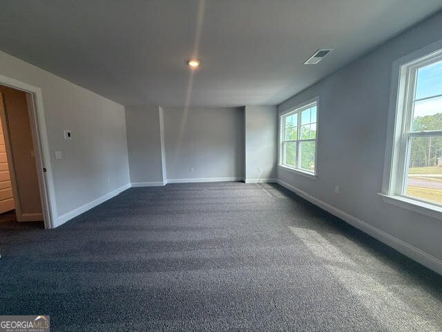 5382 Tuscany Drive Douglasville - Photo 30
