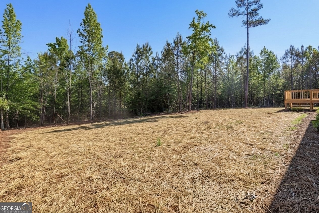 3741 Triune Mill Rd Thomaston - Photo 31