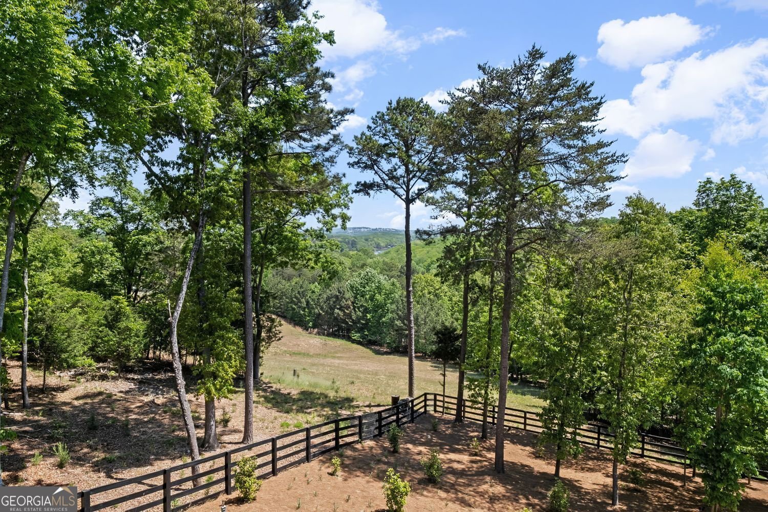 7350 Crestline Drive Dawsonville - Photo 53