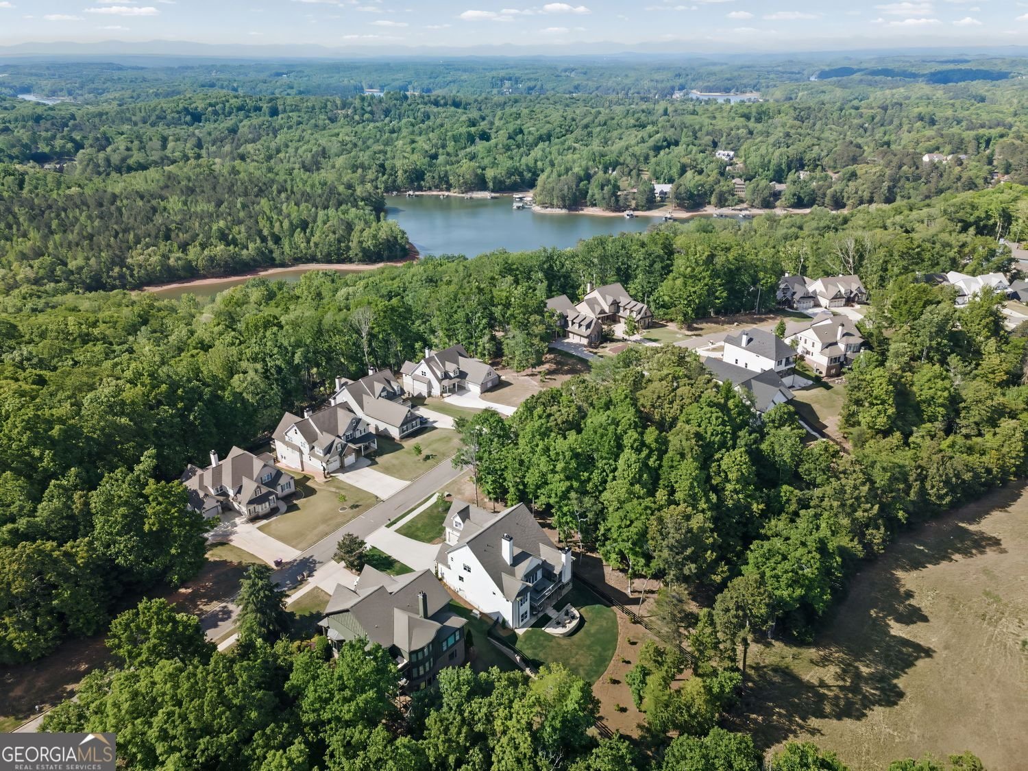 7350 Crestline Drive Dawsonville - Photo 56