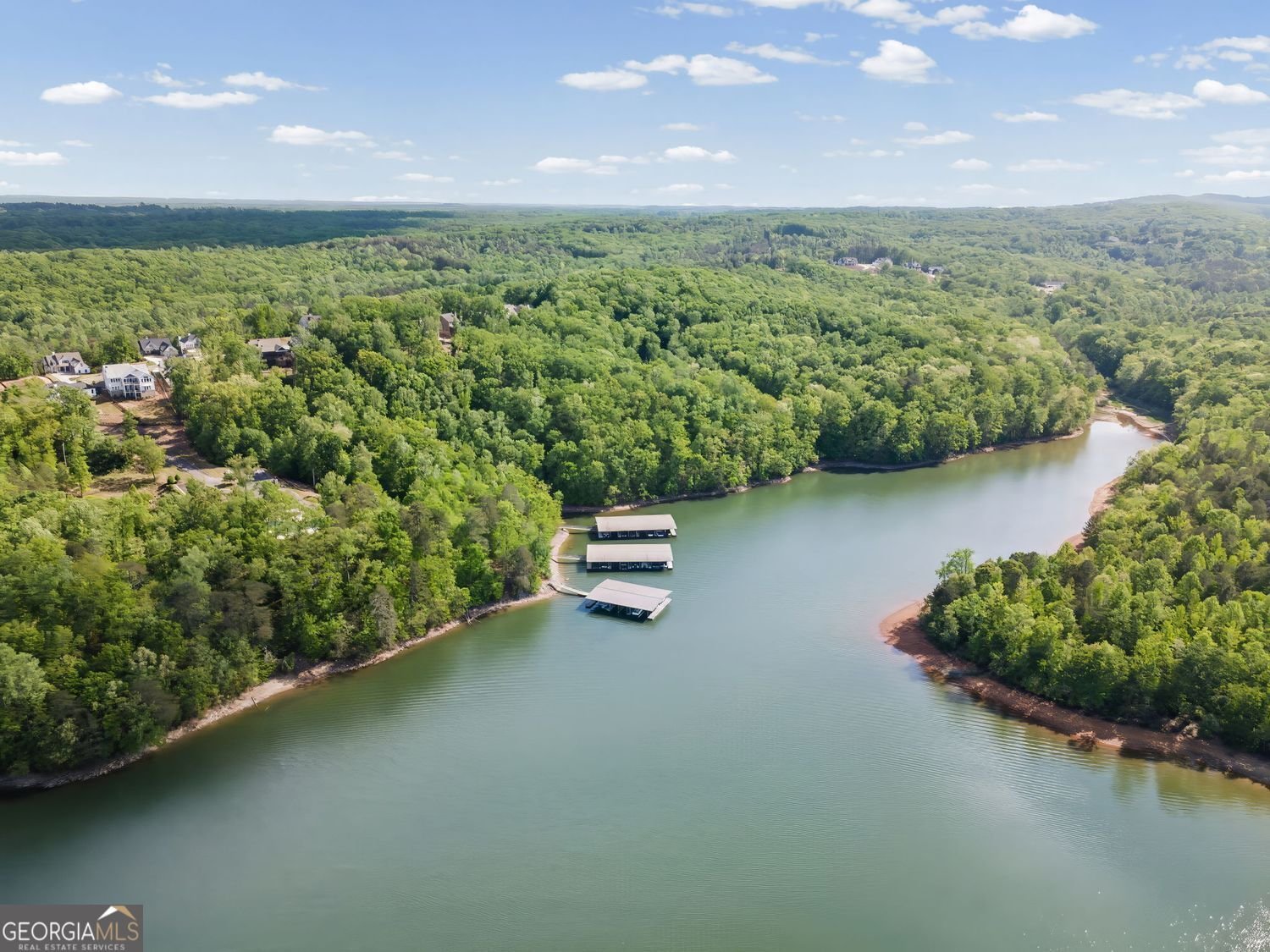 7350 Crestline Drive Dawsonville - Photo 57