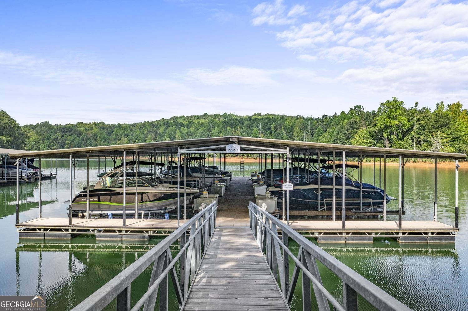 7350 Crestline Drive Dawsonville - Photo 58