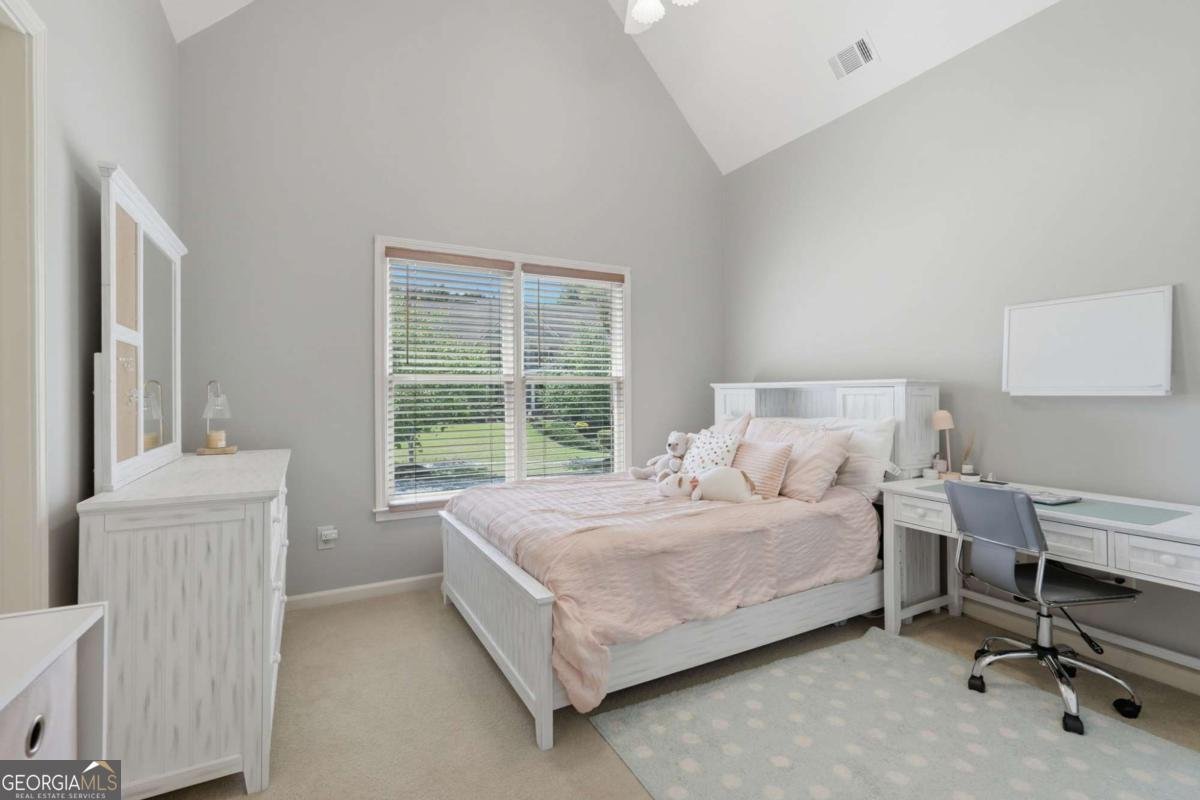 3501 Falls Branch Court Buford - Photo 65