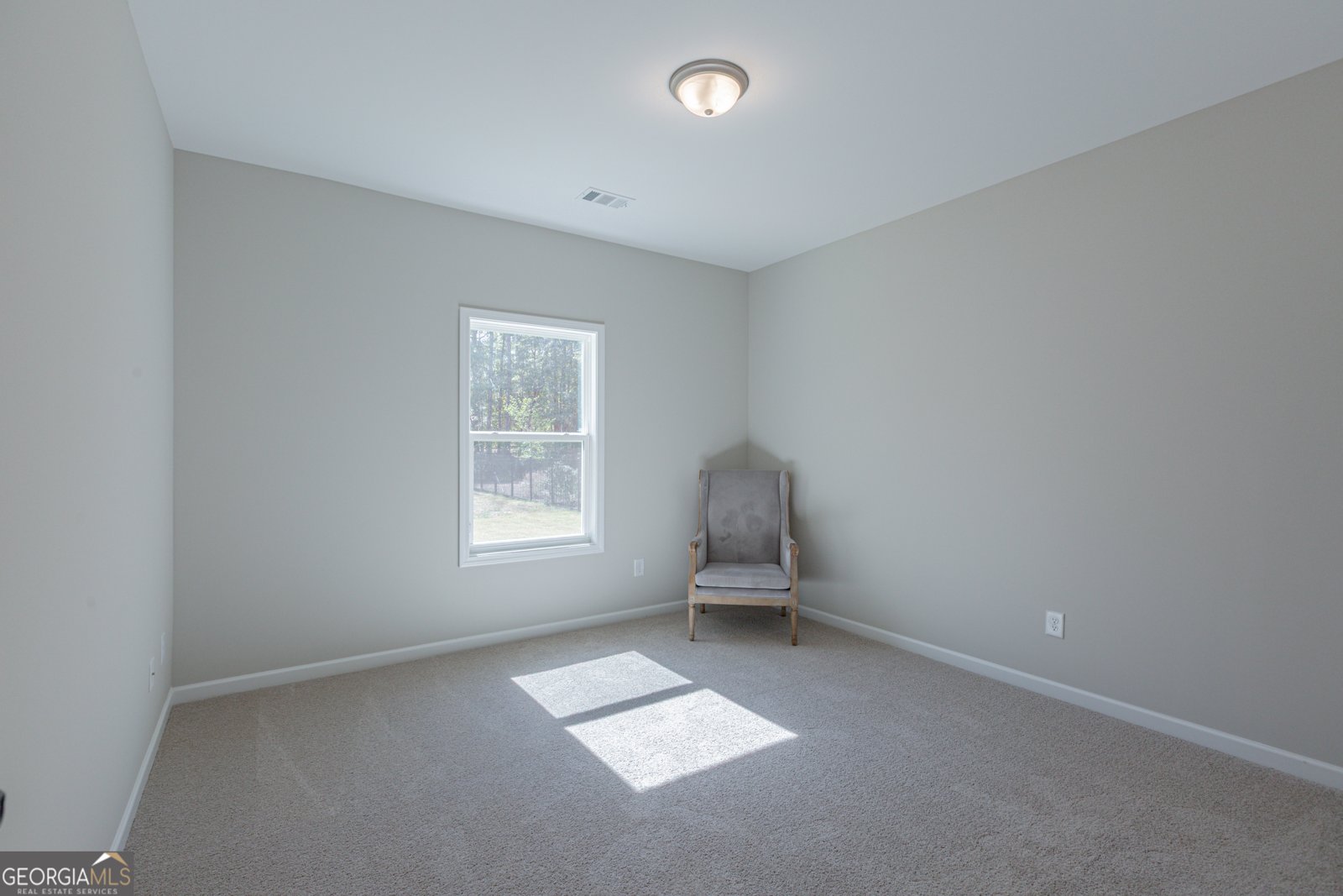204 Maddington Court Senoia - Photo 19