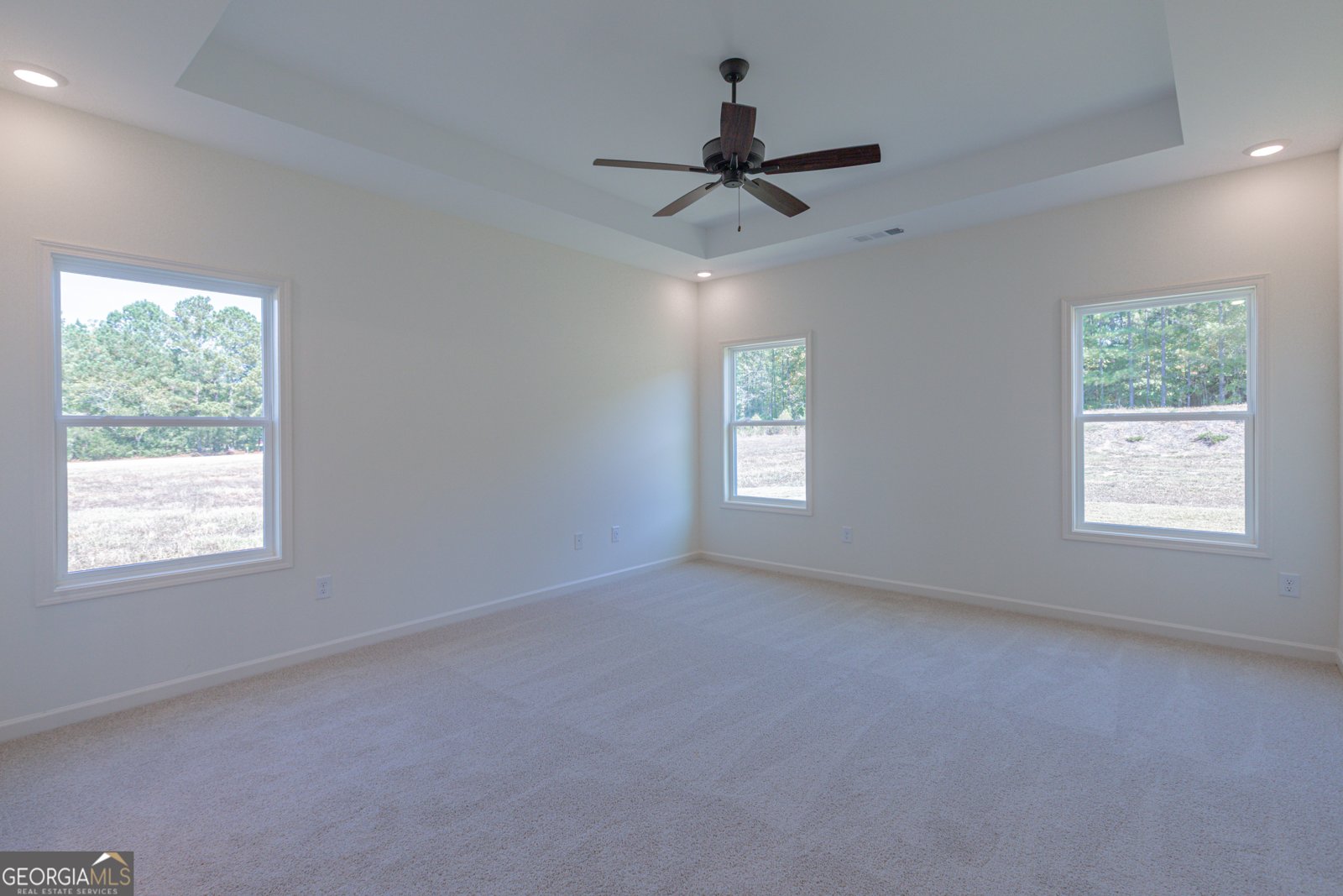 316 Hammerstone Court Senoia - Photo 21
