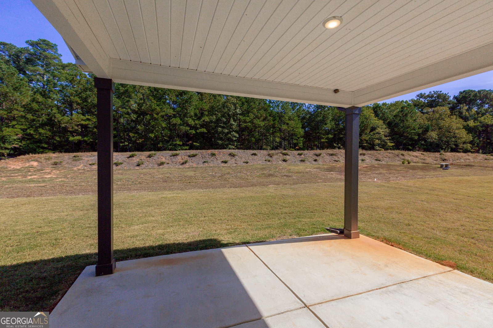 316 Hammerstone Court Senoia - Photo 30