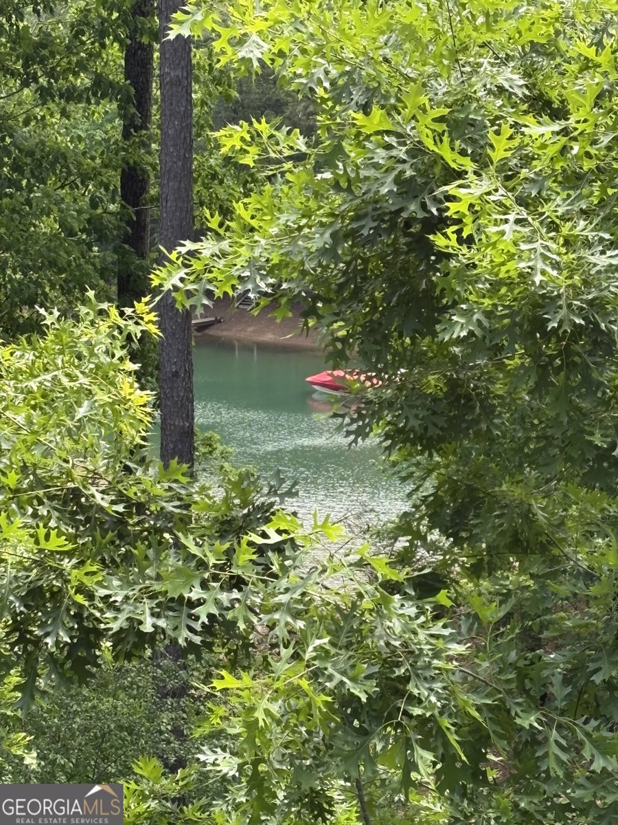 3200 Rim Cove Drive Cumming - Photo 23