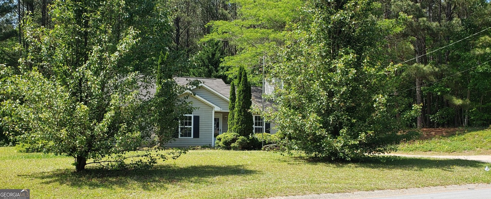 Photo 4