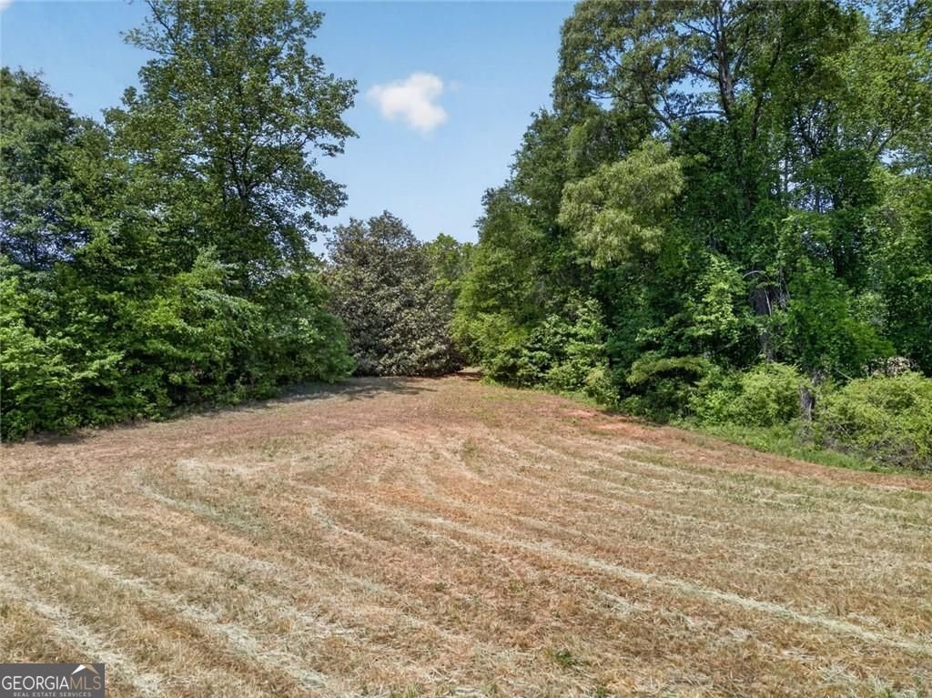 3982 Pool Road Winston - Photo 41