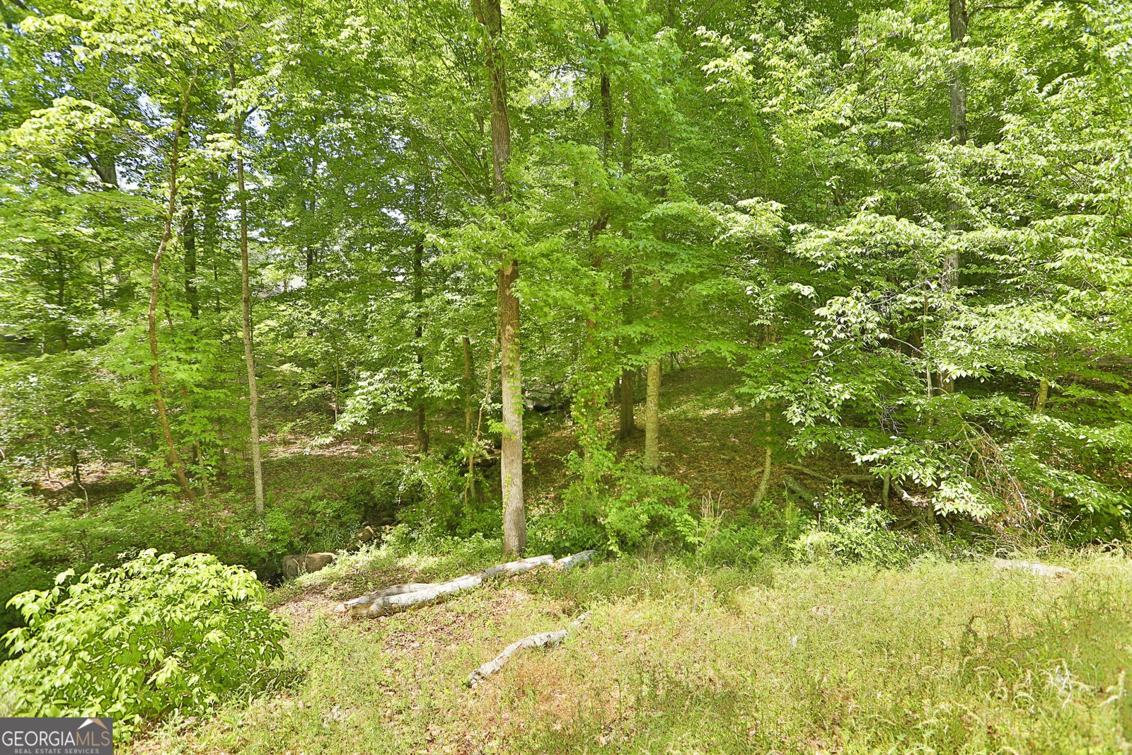 133 Oak Drive Gray - Photo 40