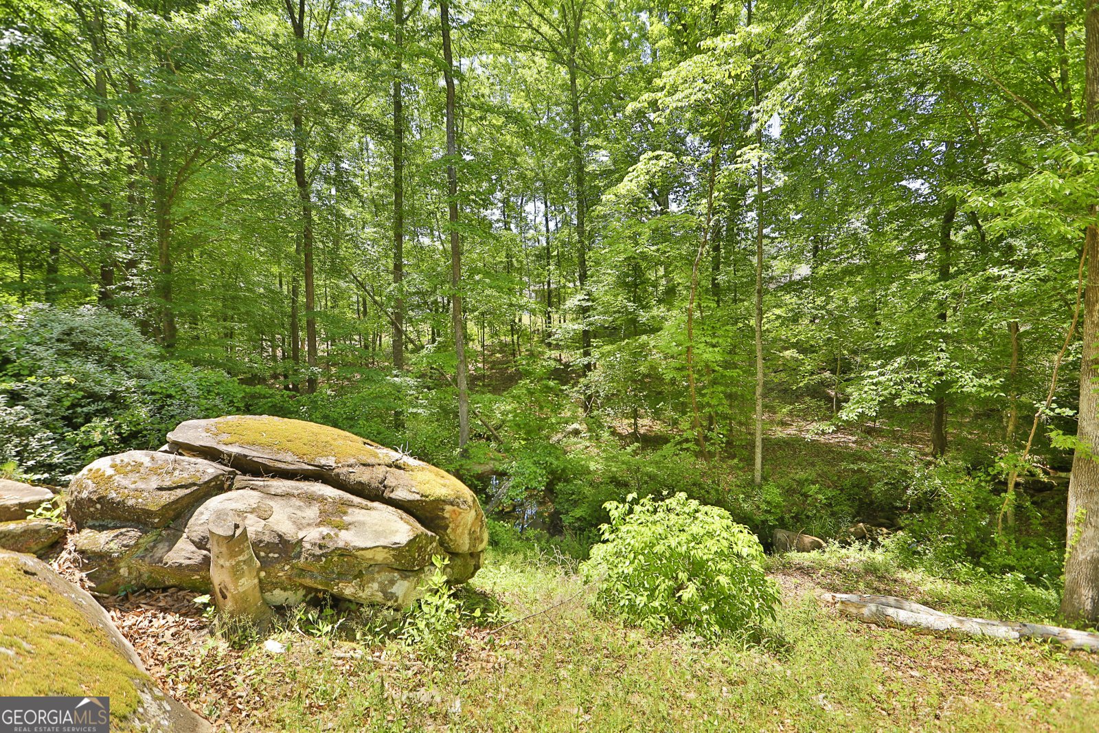133 Oak Drive Gray - Photo 41