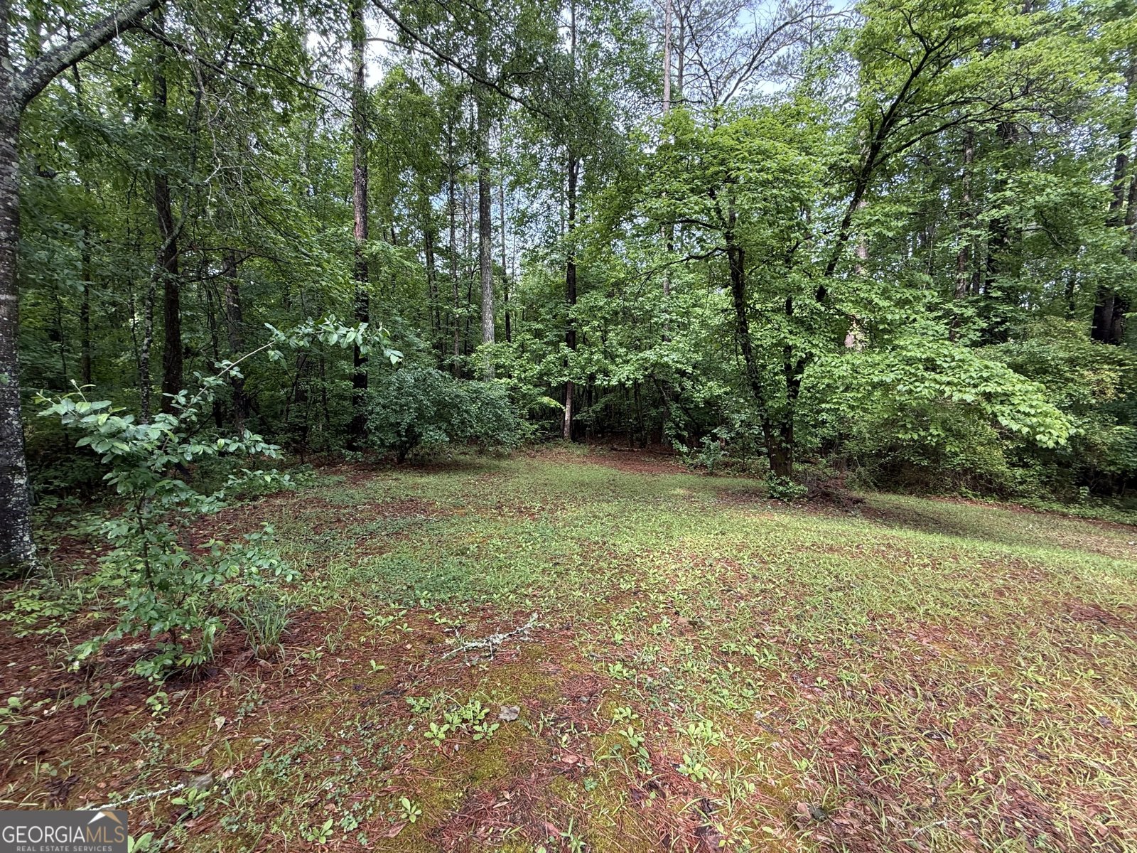 227 Lakeview Drive Lagrange - Photo 52