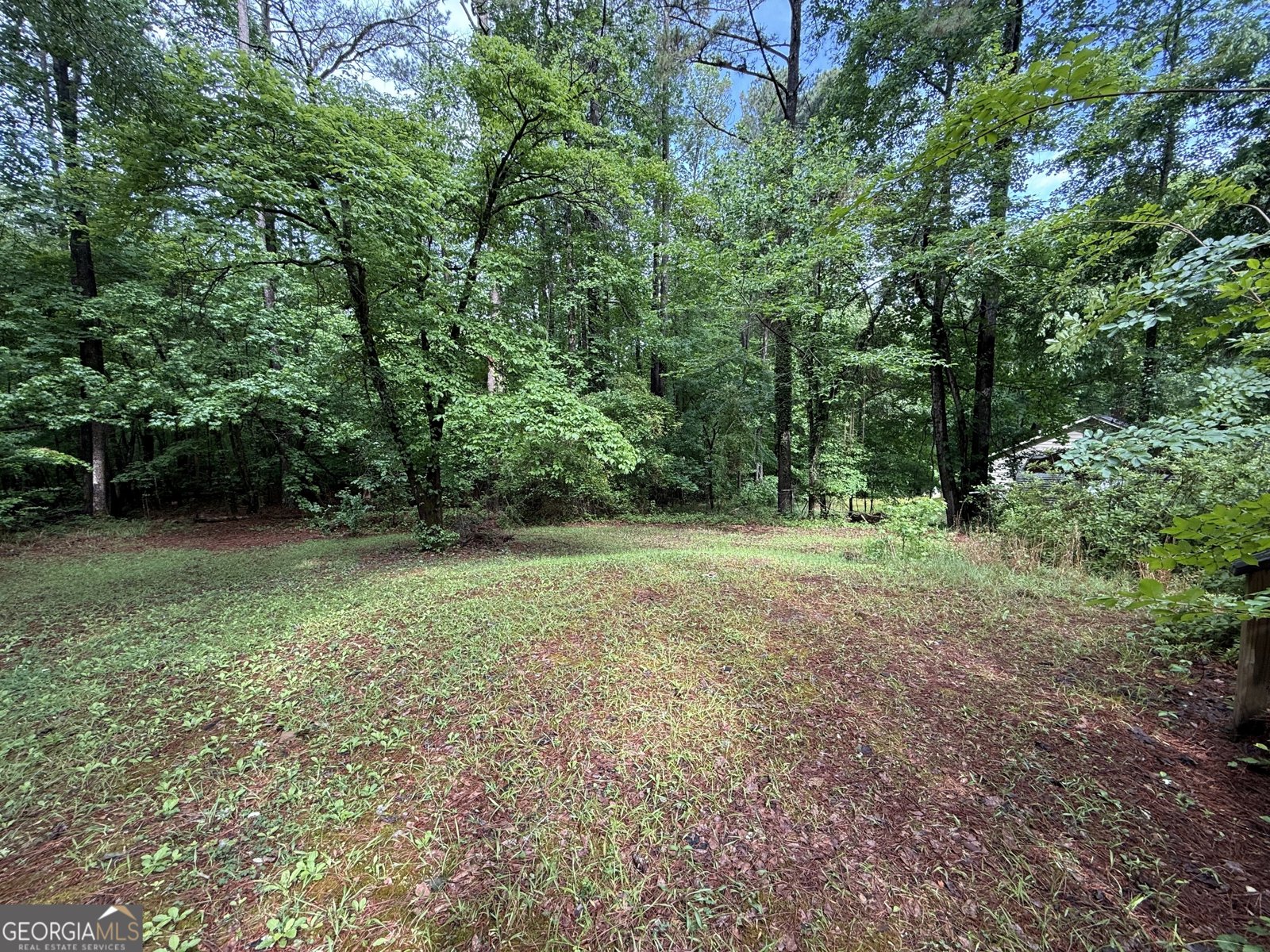 227 Lakeview Drive Lagrange - Photo 53