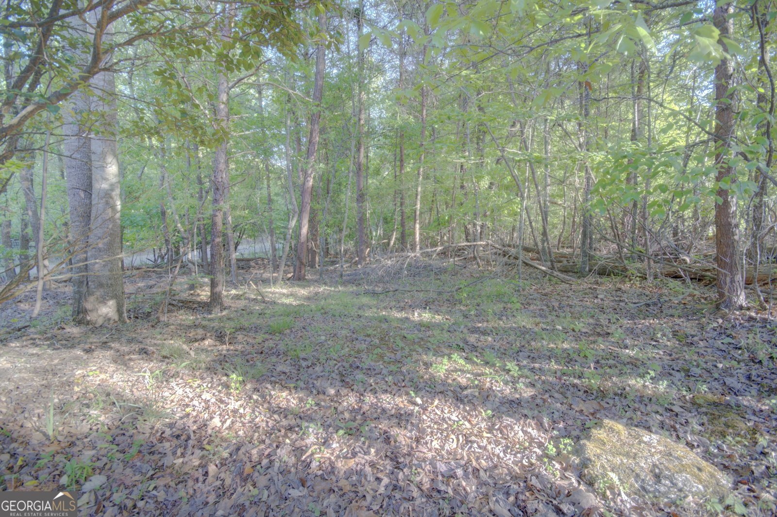35 Kitchen Way West Dahlonega - Photo 42