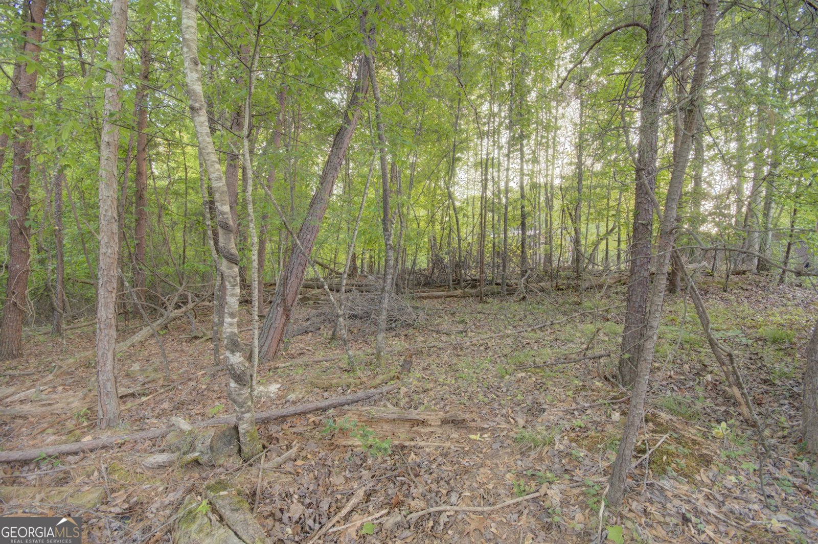 35 Kitchen Way West Dahlonega - Photo 56