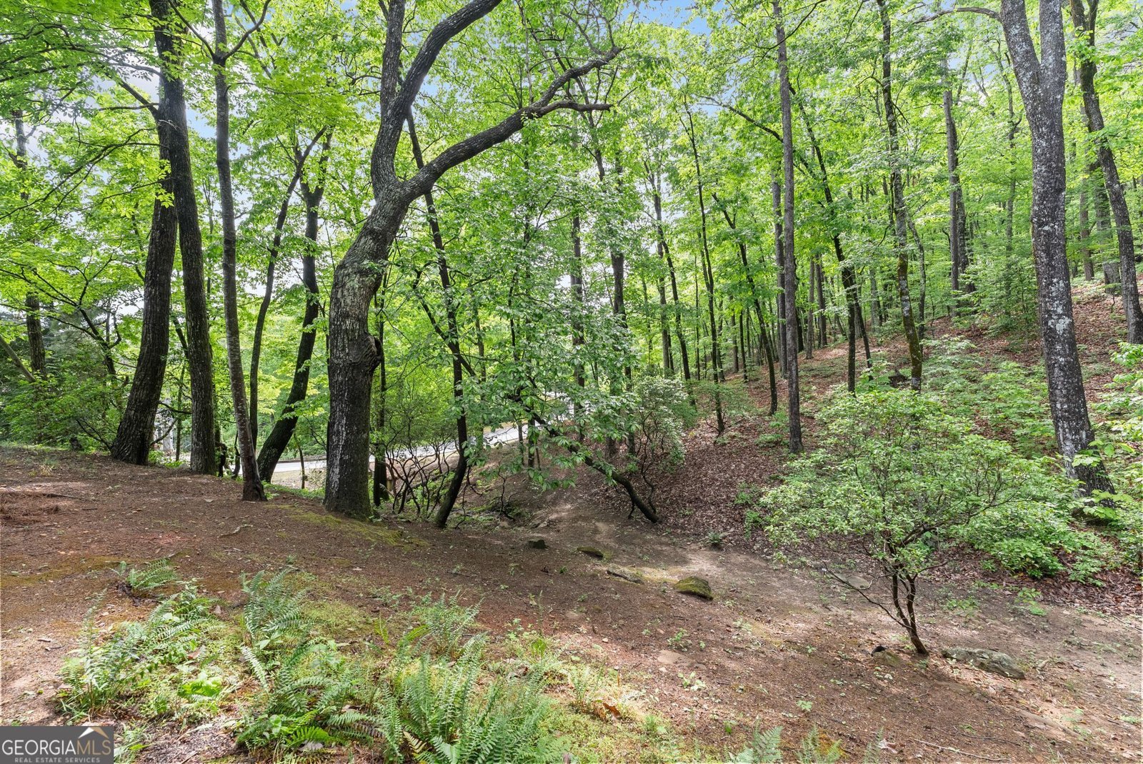 415 Yates Circle Clarkesville - Photo 45