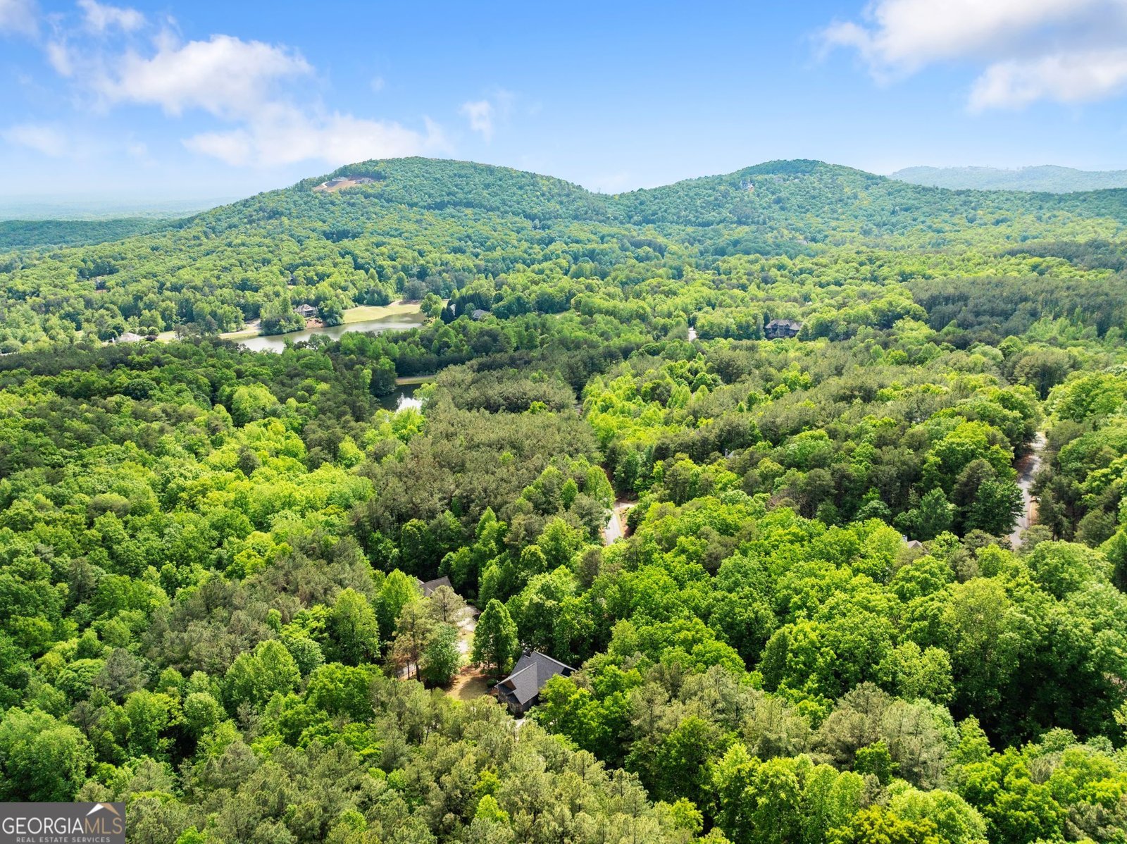 415 Yates Circle Clarkesville - Photo 51