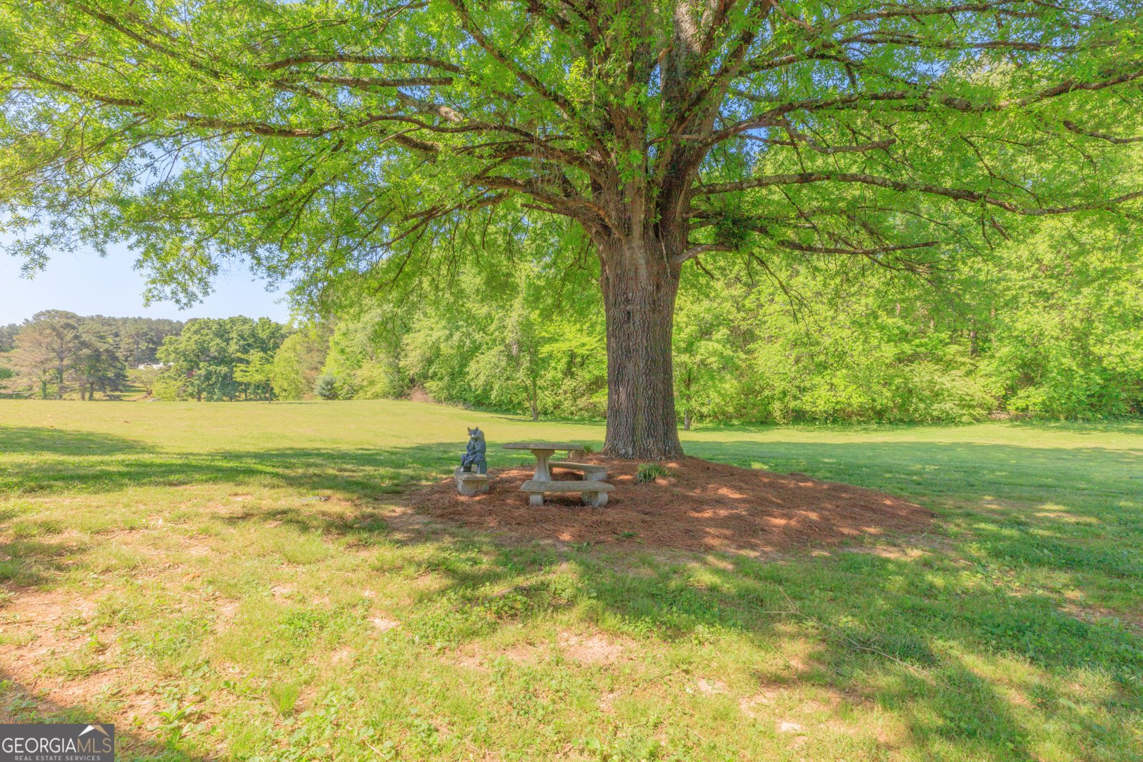 669 Chandler Road Chickamauga - Photo 53