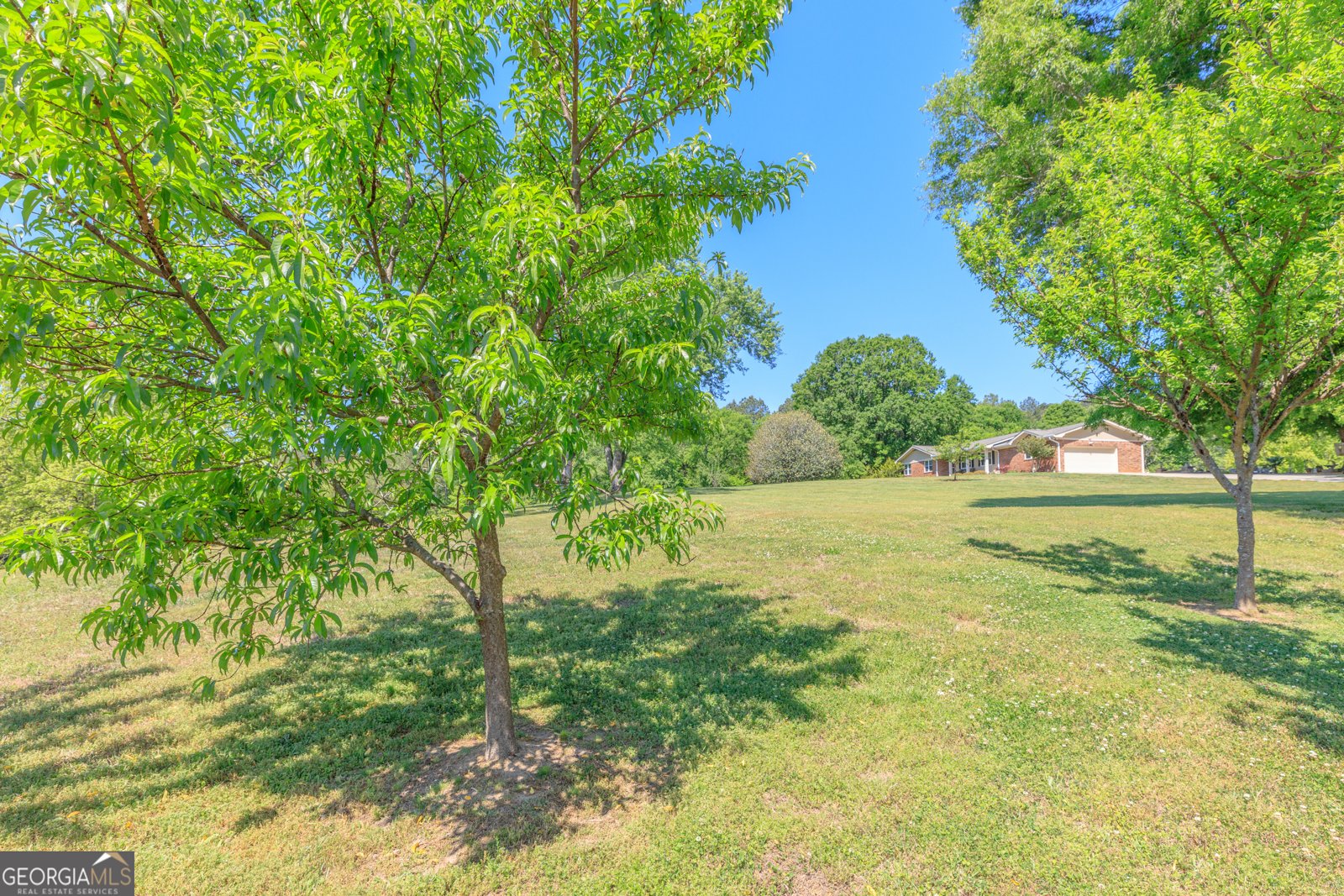 669 Chandler Road Chickamauga - Photo 86