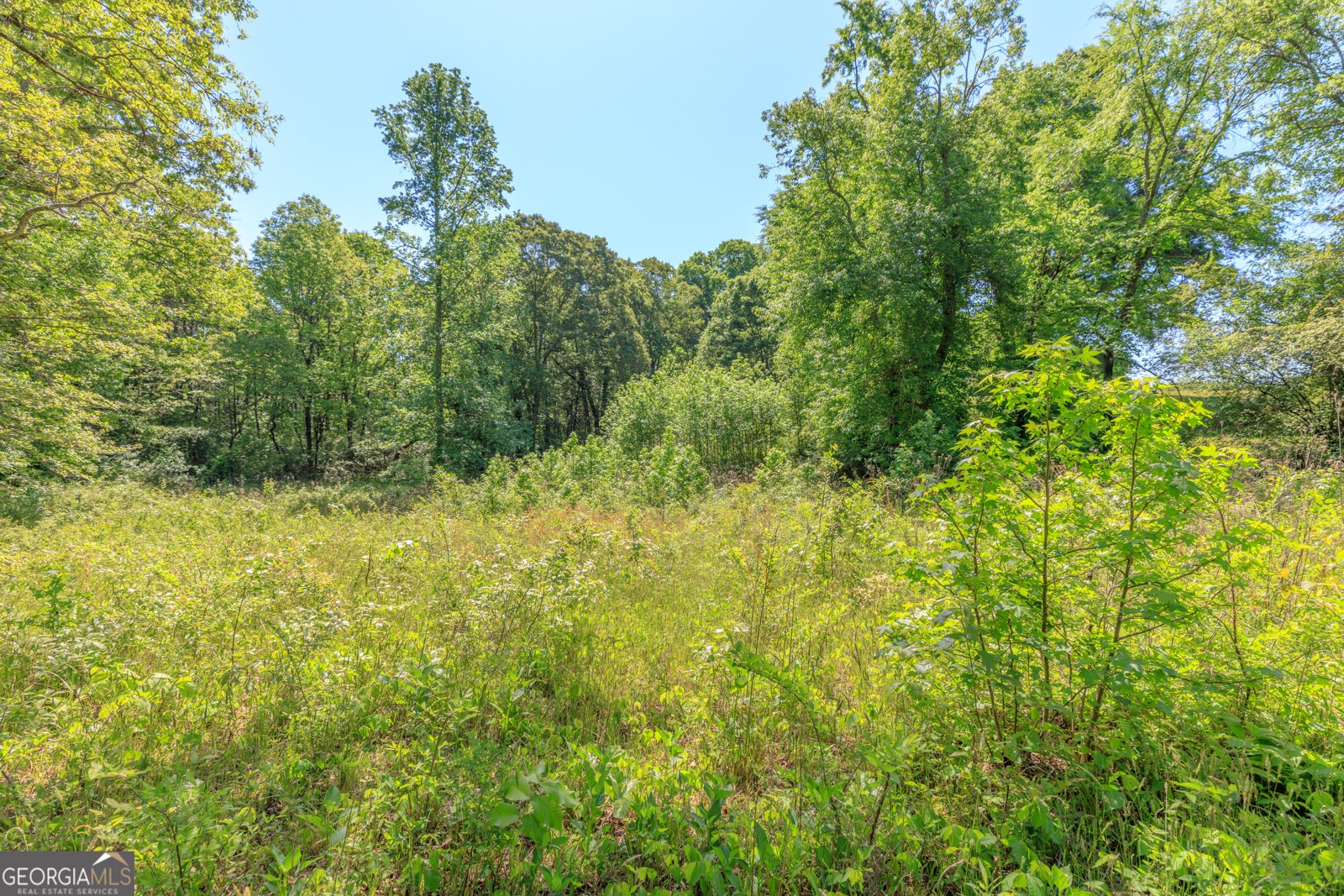 669 Chandler Road Chickamauga - Photo 94