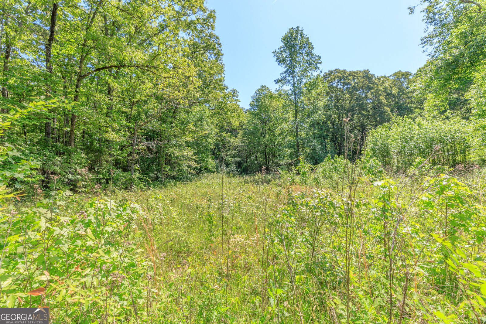 669 Chandler Road Chickamauga - Photo 95