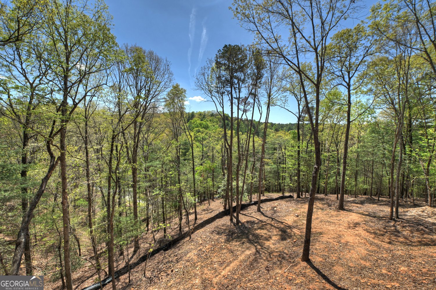 394 Blackberry Circle Ellijay - Photo 9