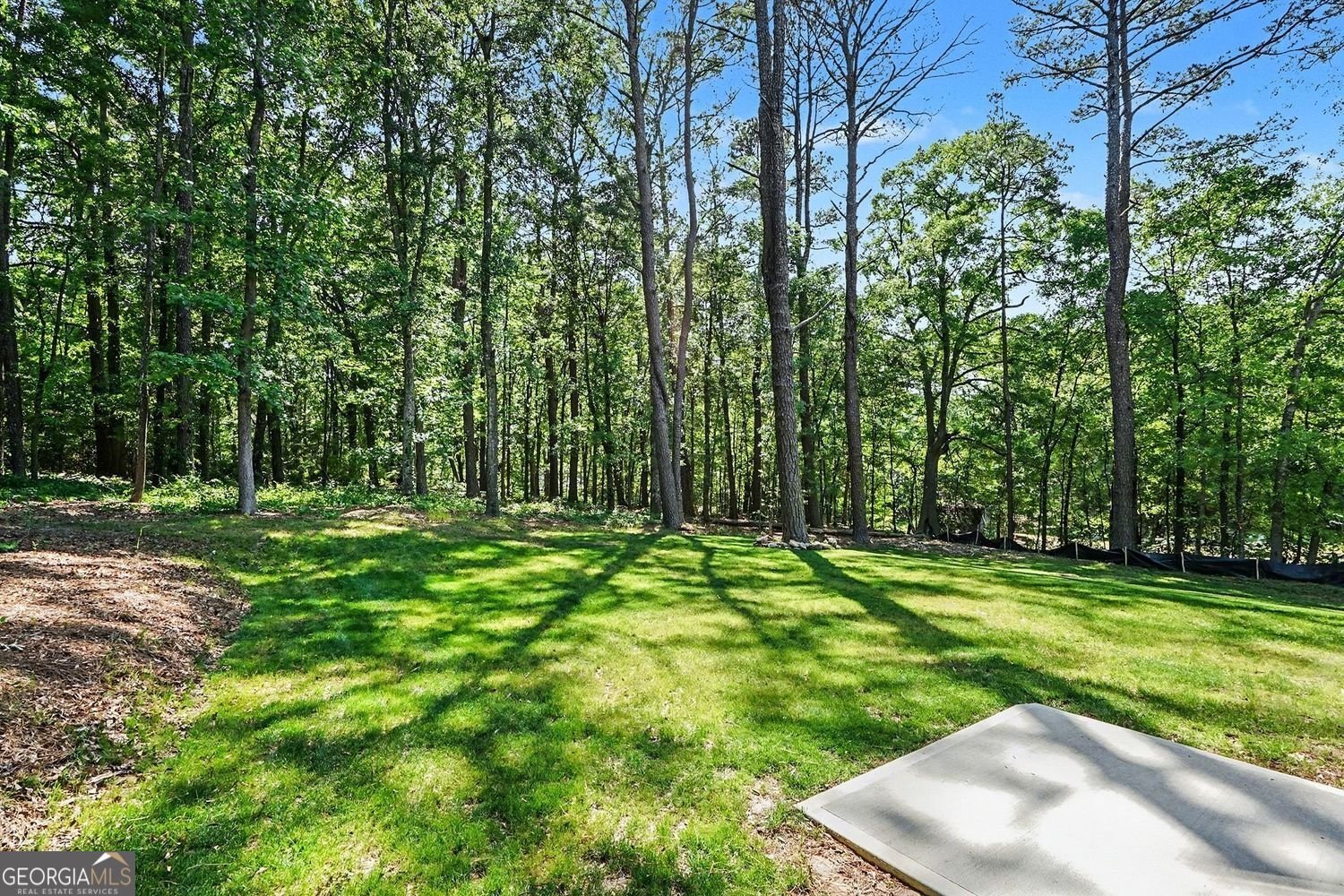 953 Remington Drive Conyers - Photo 32