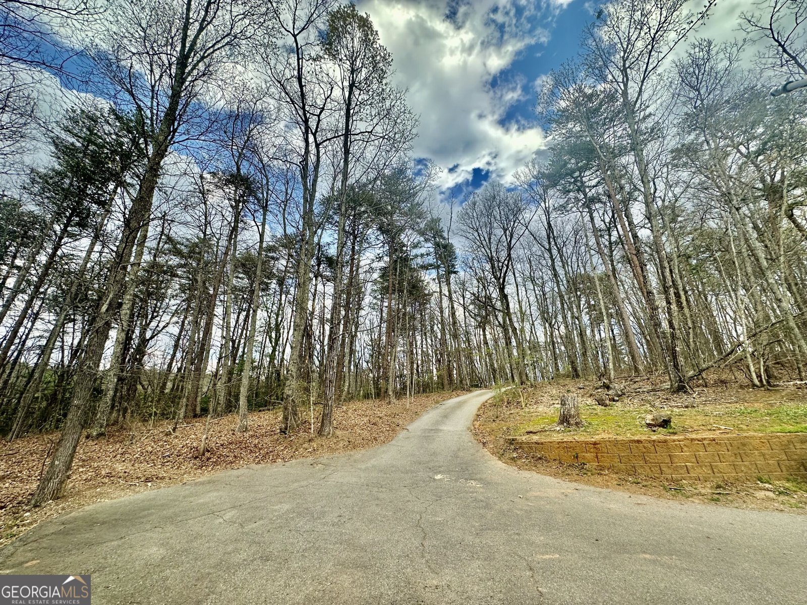 560 Amicalola Woods Road Dawsonville - Photo 22