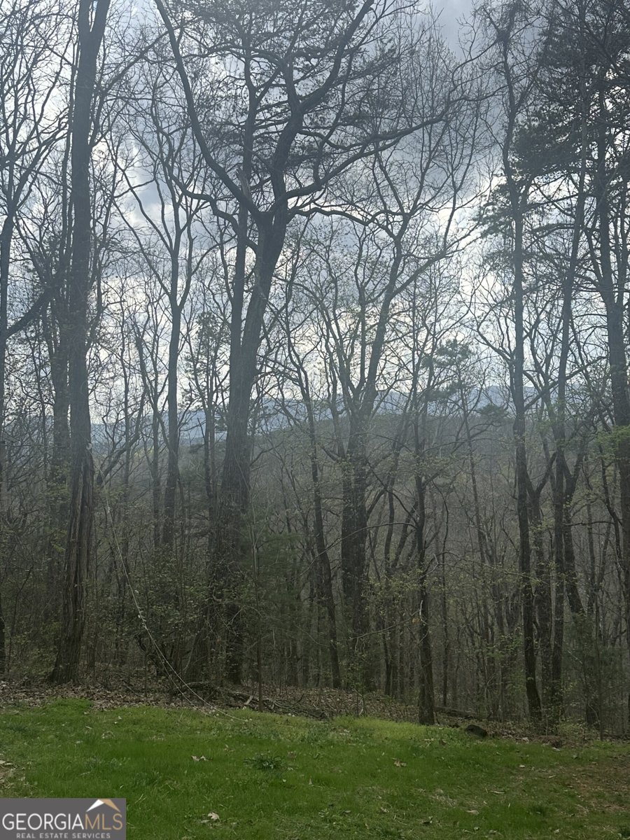 560 Amicalola Woods Road Dawsonville - Photo 25