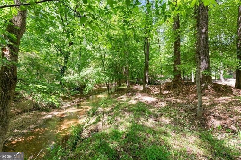 8580 High Hampton Chase Alpharetta - Photo 53