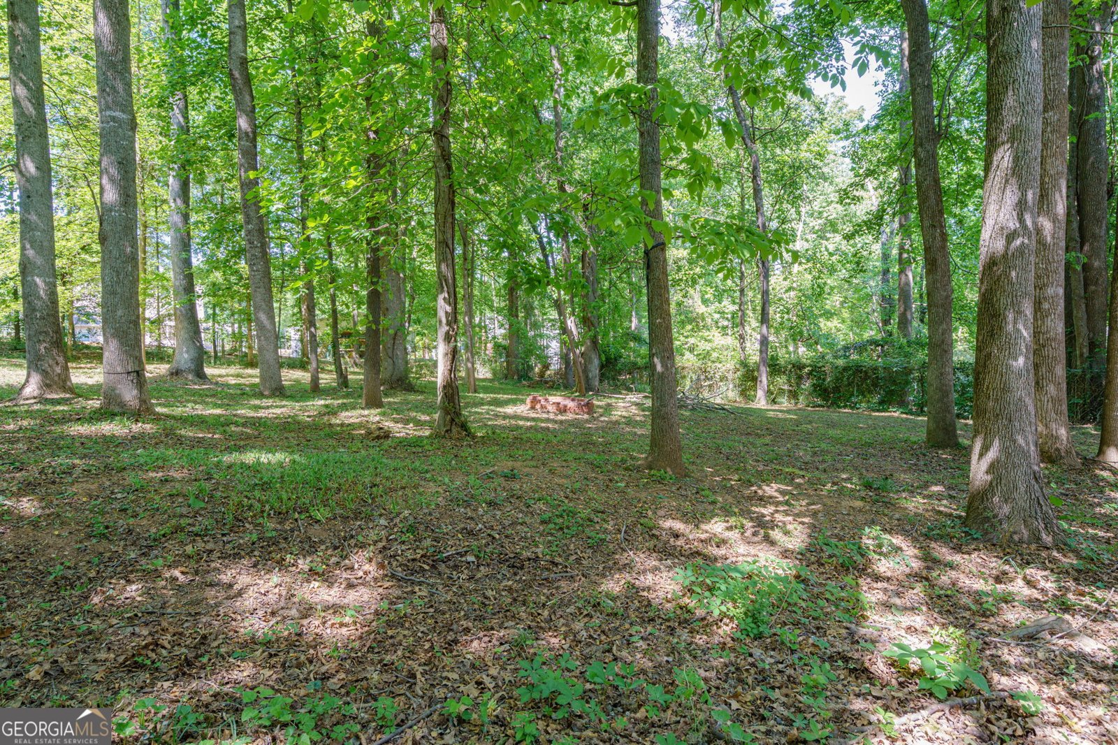 149 Walnut Ridge Drive Hoschton - Photo 20