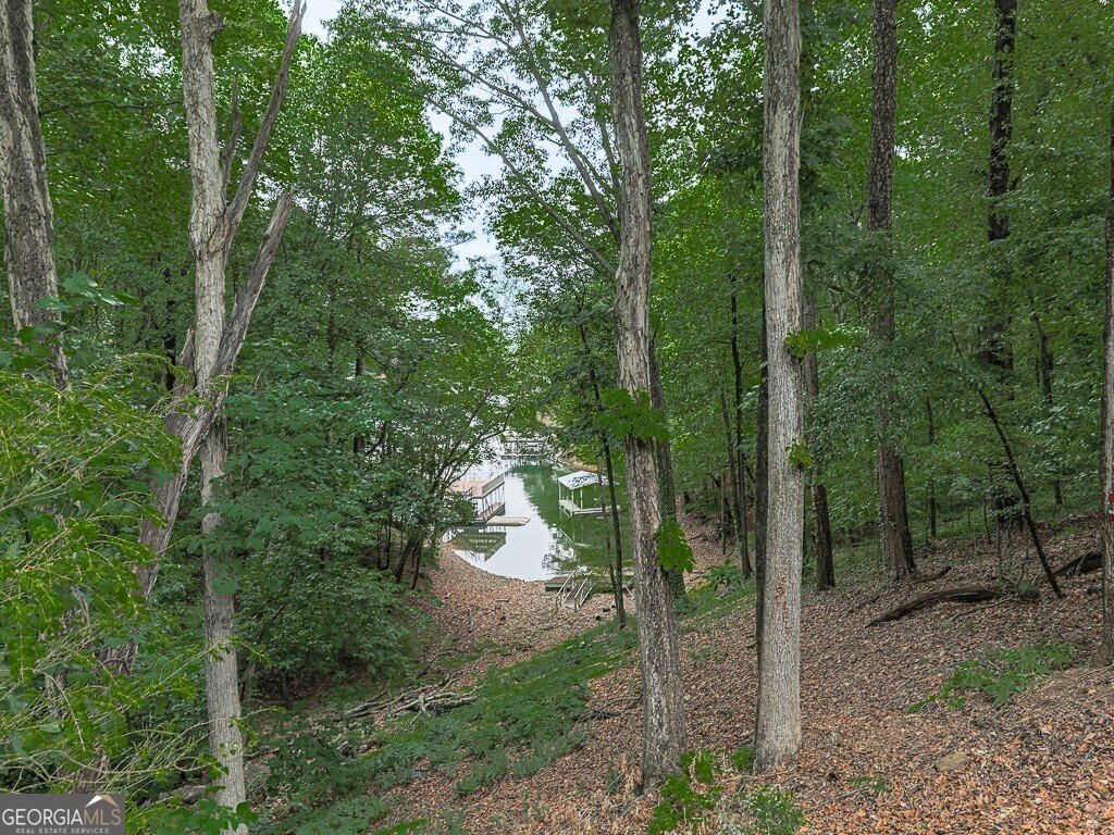 23 Blue Heron Point Acworth - Photo 81