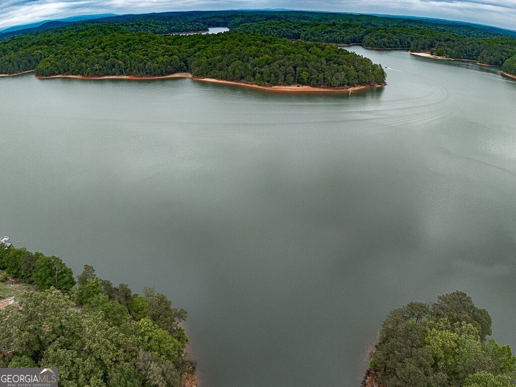 23 Blue Heron Point Acworth - Photo 93