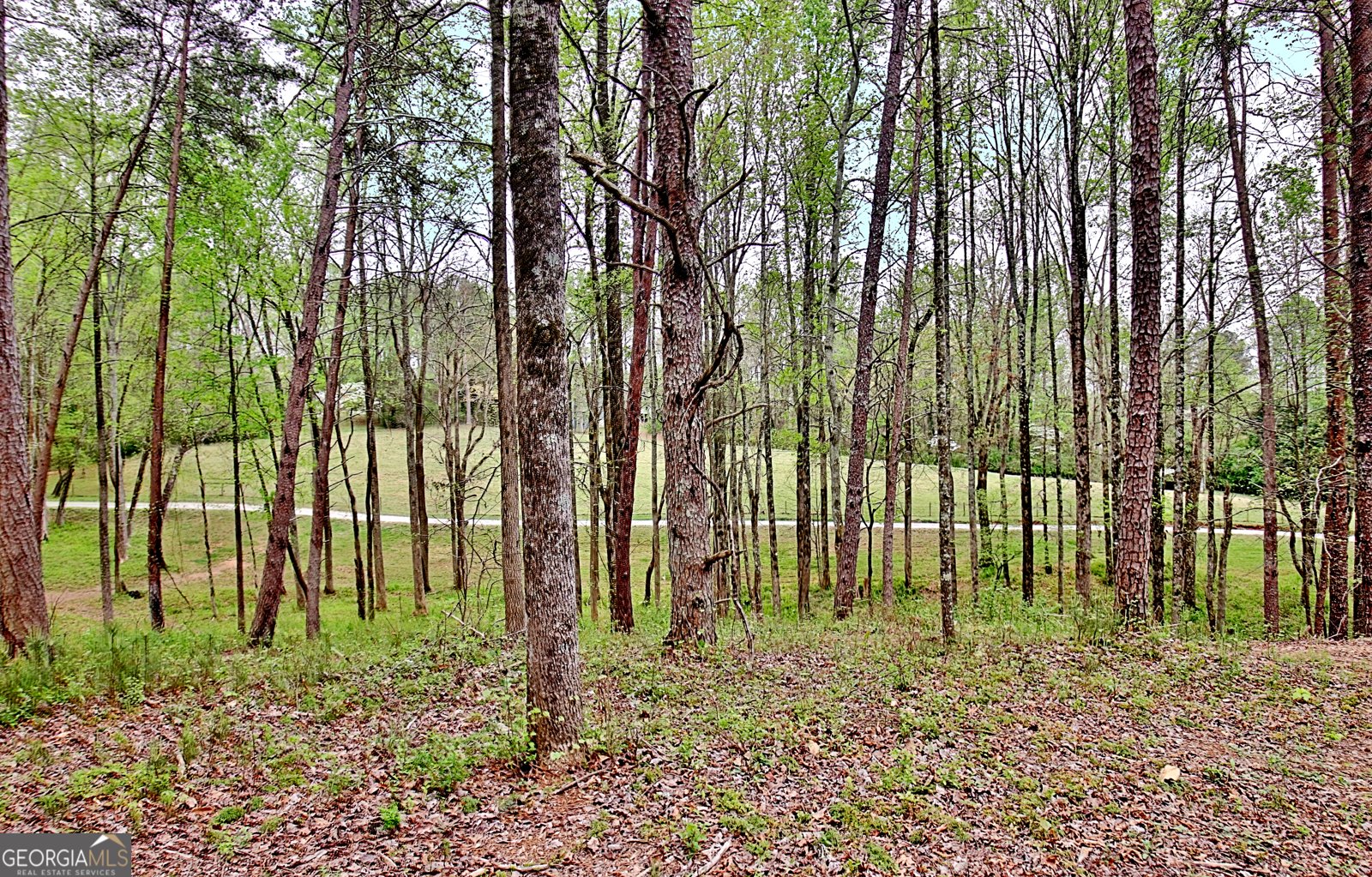 5855 Tony Peck Road Murrayville - Photo 73