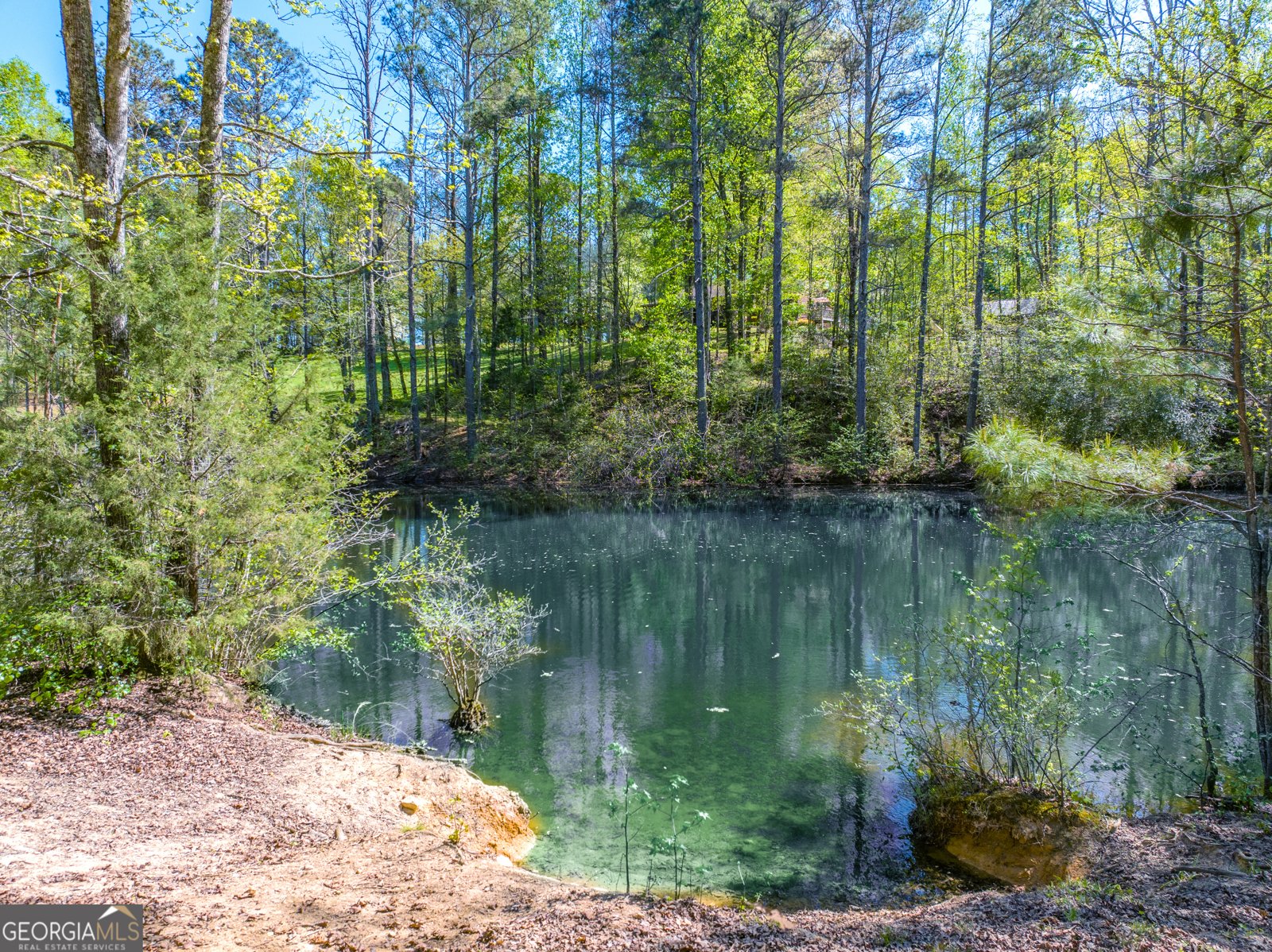 5855 Tony Peck Road Murrayville - Photo 76