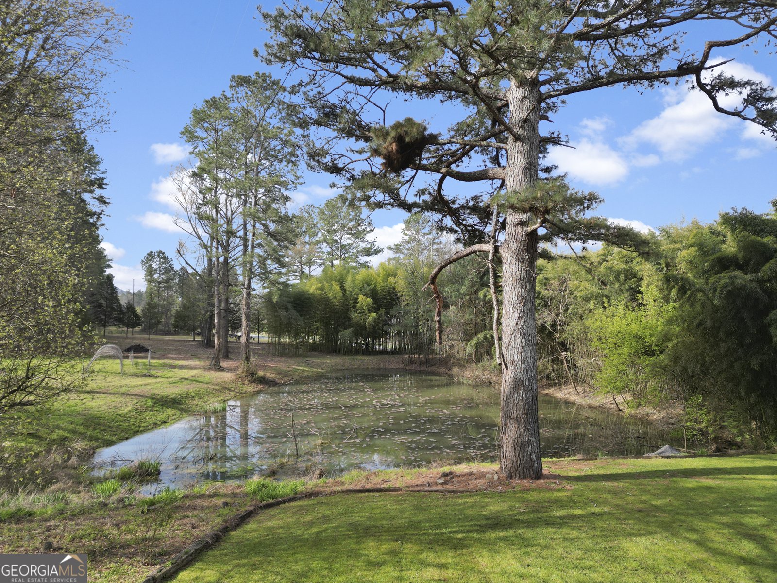 5948 Haywood Valley Road Summerville - Photo 31