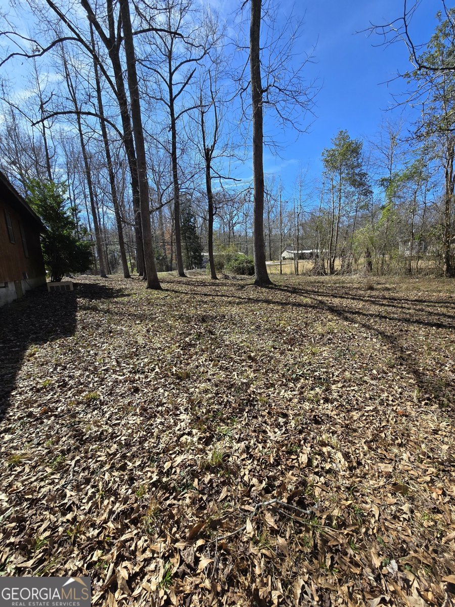 166 Lakeshore Drive Ivey - Photo 25