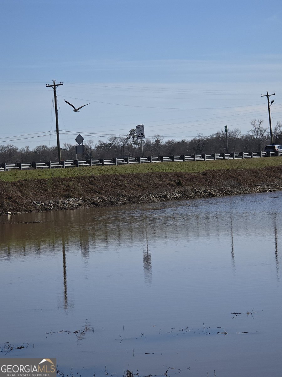 166 Lakeshore Drive Ivey - Photo 29