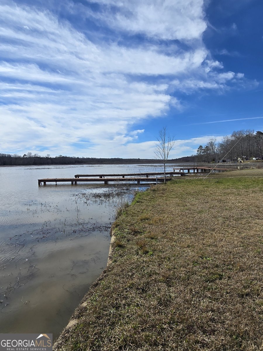 166 Lakeshore Drive Ivey - Photo 31