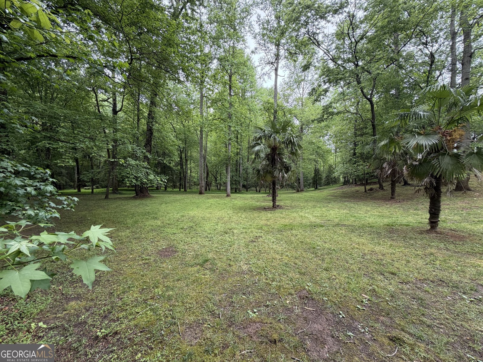 534 Soque Trail Demorest - Photo 36