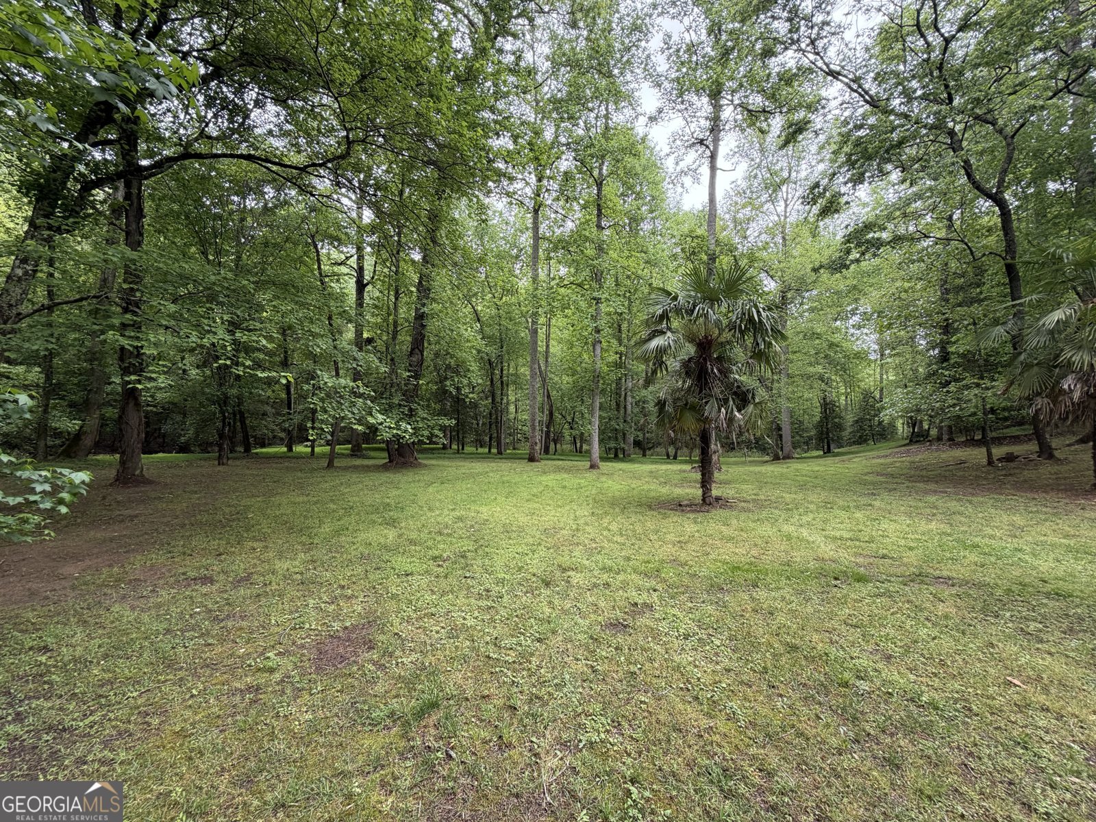 534 Soque Trail Demorest - Photo 38