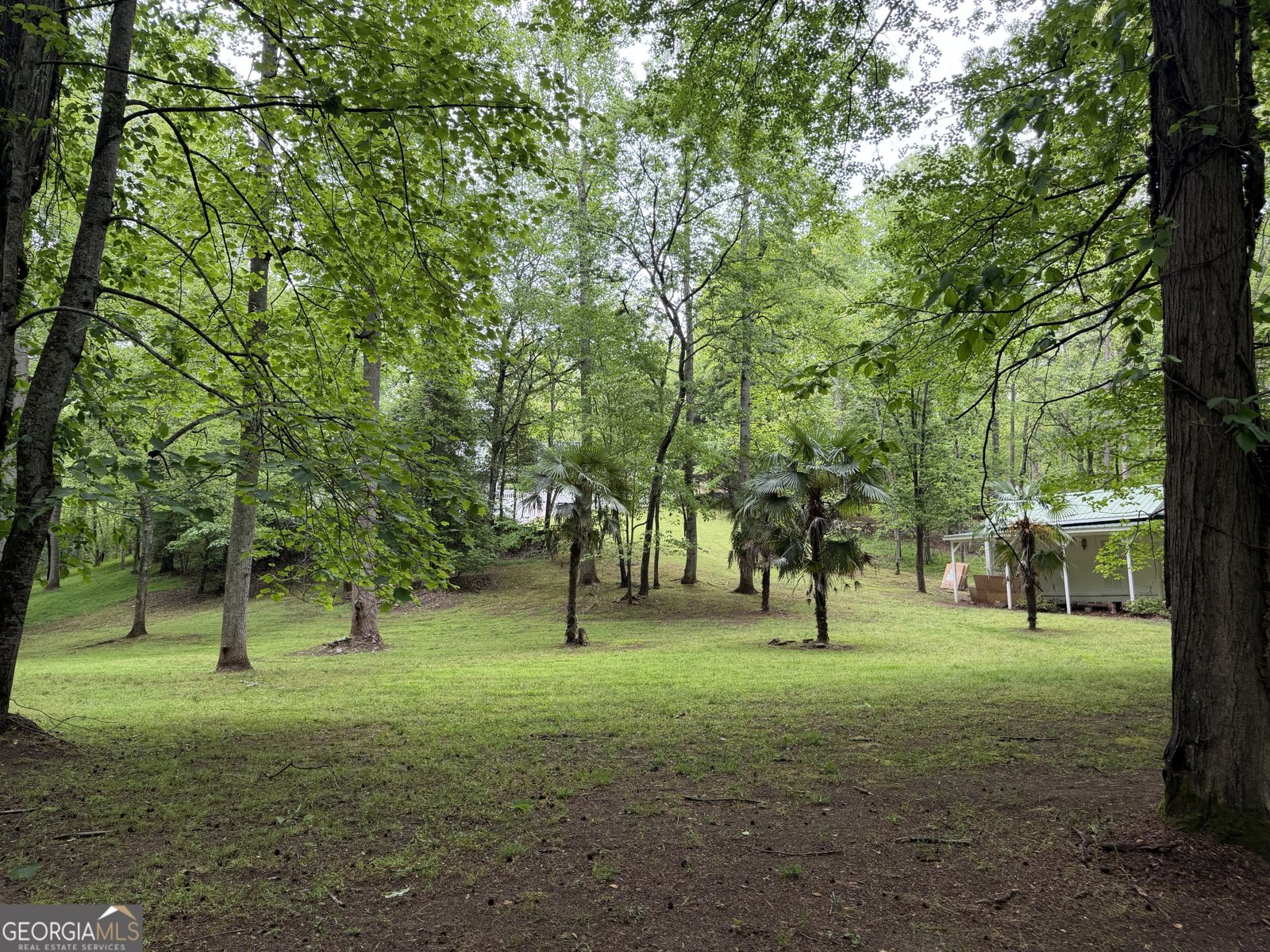 534 Soque Trail Demorest - Photo 39