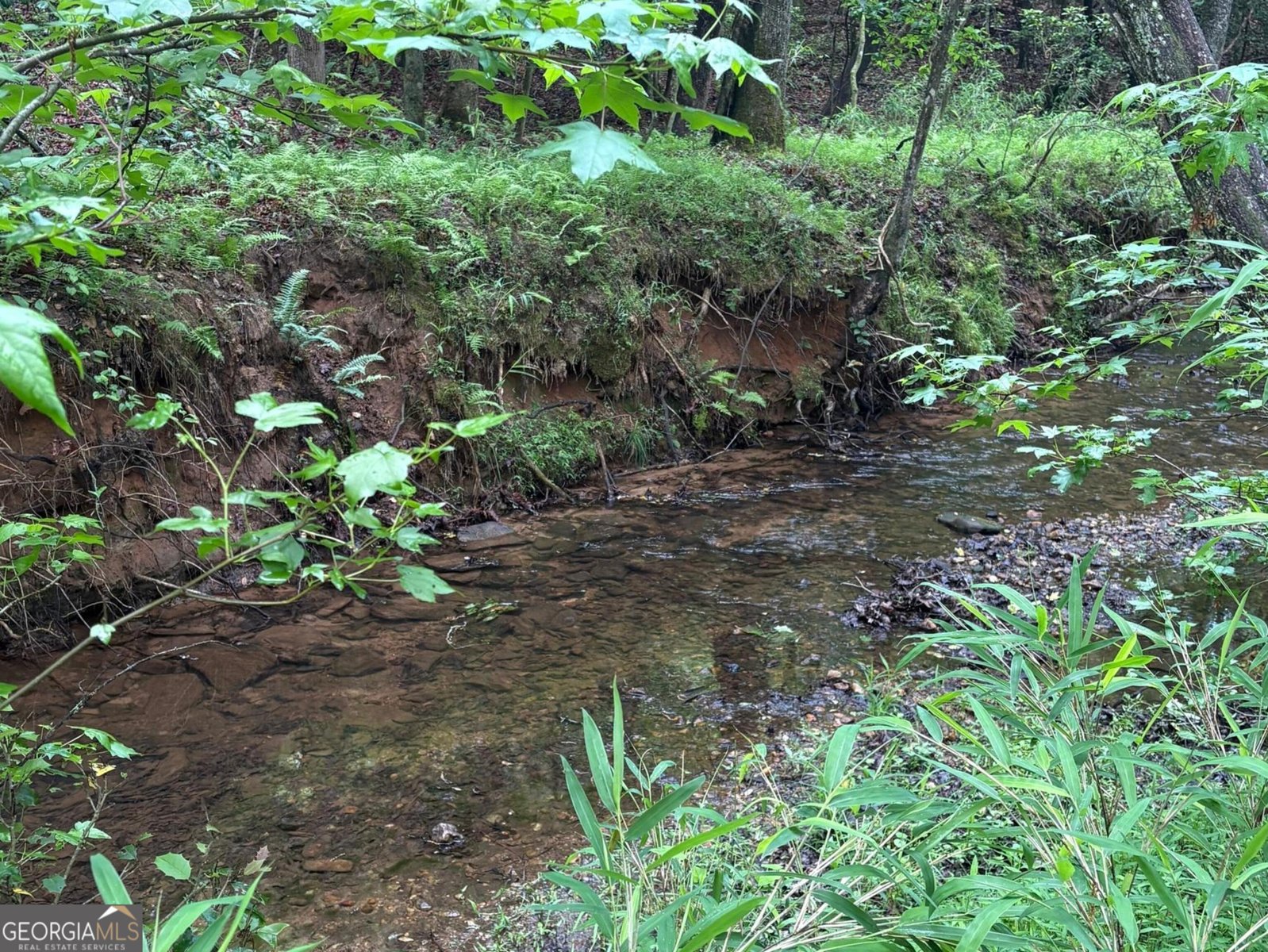 534 Soque Trail Demorest - Photo 42