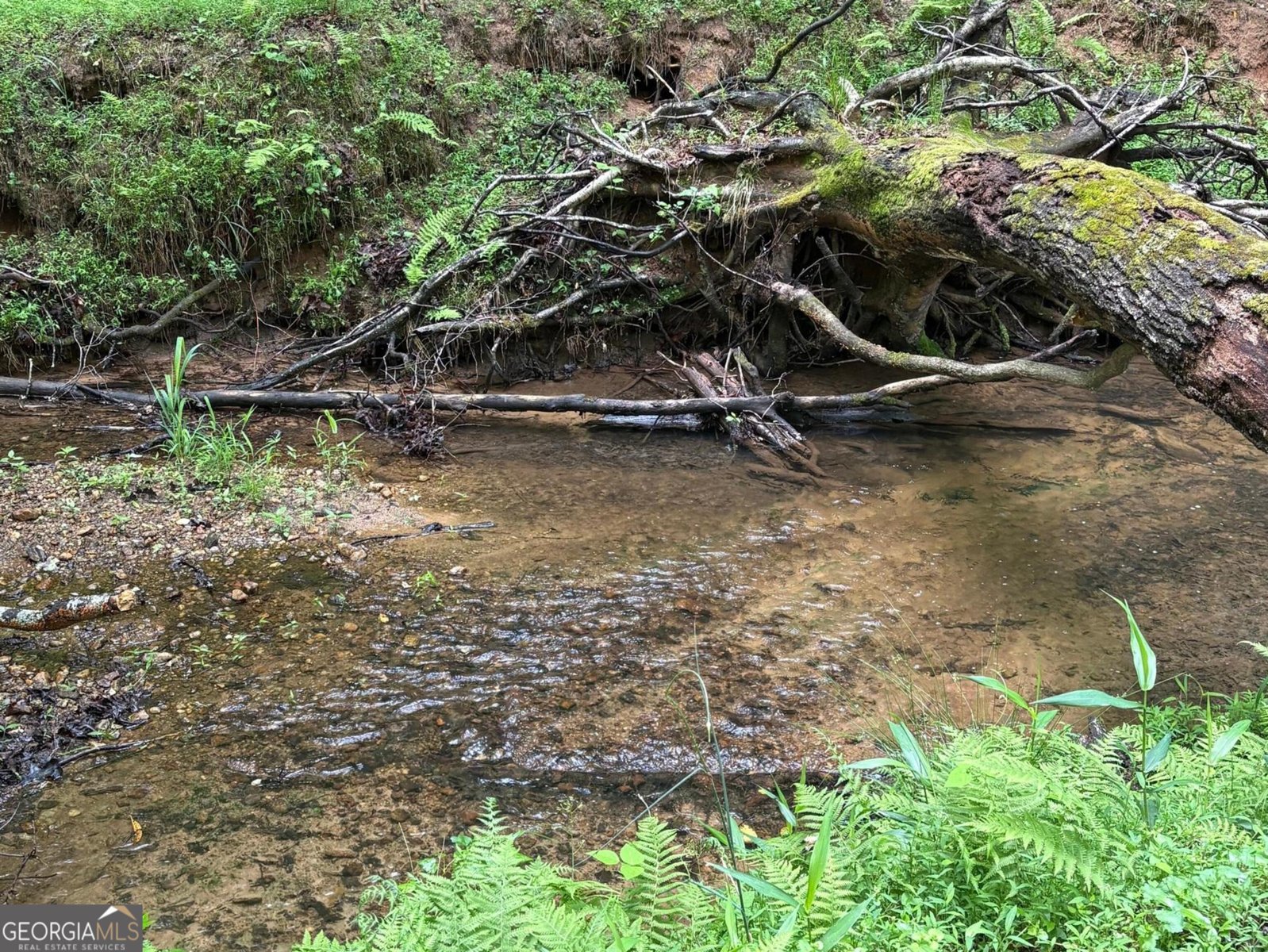 534 Soque Trail Demorest - Photo 43