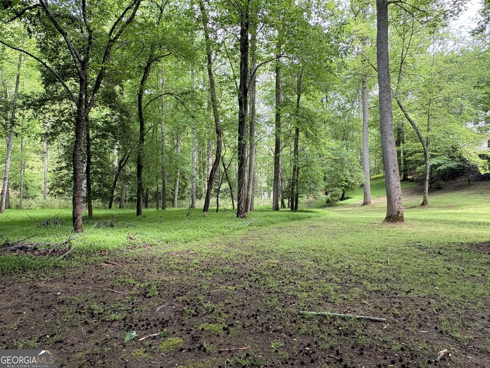 534 Soque Trail Demorest - Photo 44