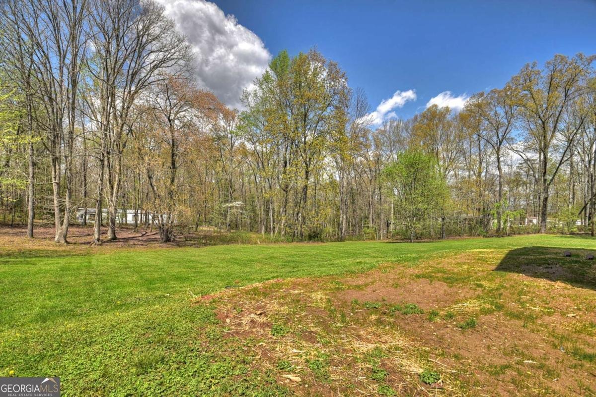 975 Goss Road Epworth - Photo 54