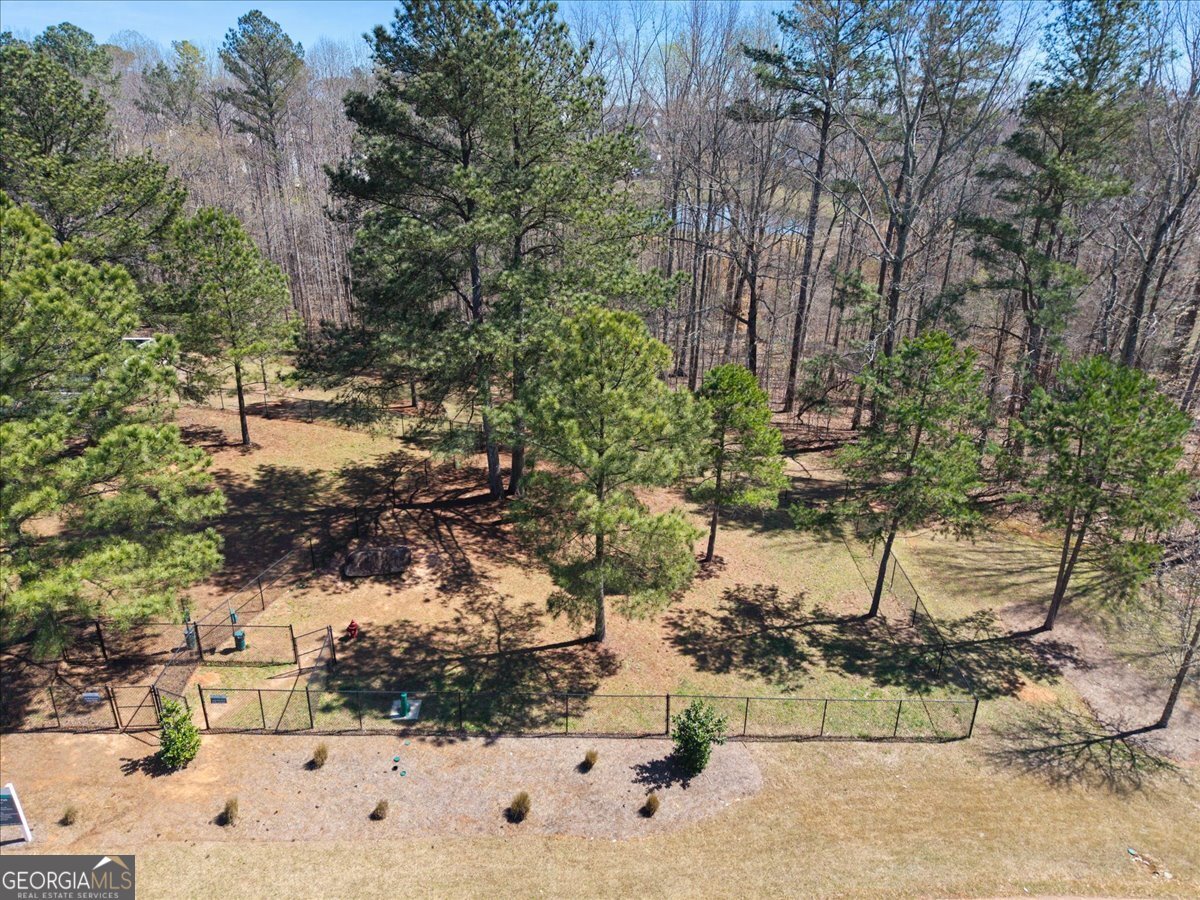 296 CANYON FERRY WAY HOSCHTON - Photo 52