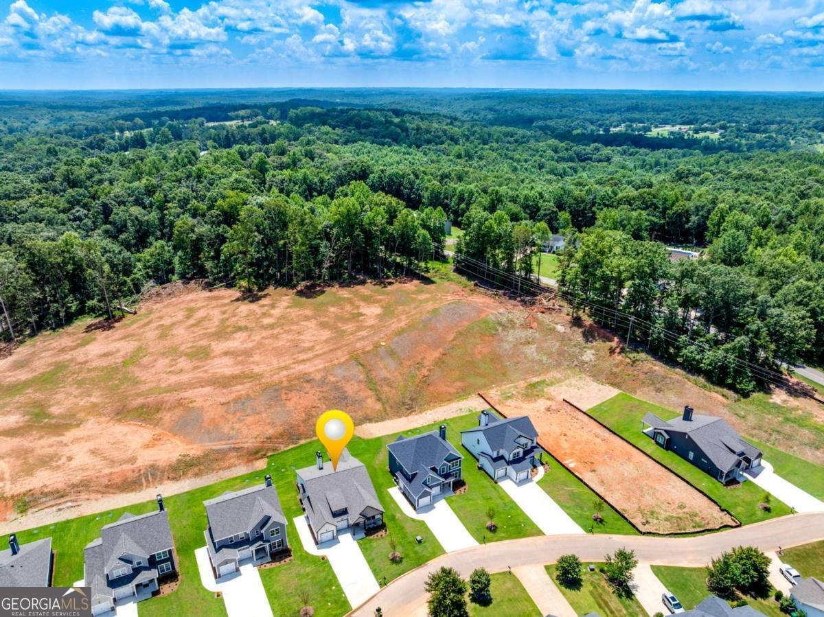 118 Classic Overlook-Lot 5A Homer - Photo 39