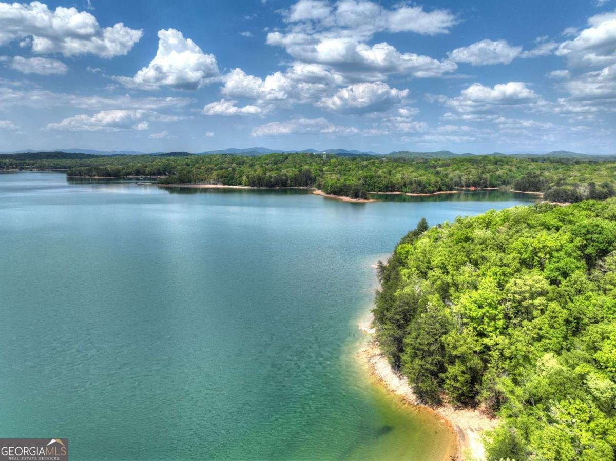 144 Lake Cove Circle Morganton - Photo 45